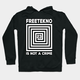 Free Party Is Not A Crime! Hoodie